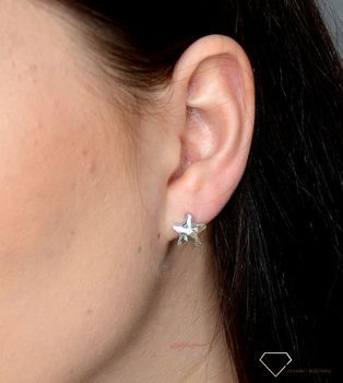 Kolczyki srebrne Swarovski jasne gwiazdki✓ Prezent dla dziewczyny✓ Prezent dla mamy✓Biżuteria srebrna w Sklepie z Biżuterią zegarki-diament.pl✓Piękna i Elegancka Kolczyki dla Kobiet✓Prawdziwe Srebro✓Da (3).JPG