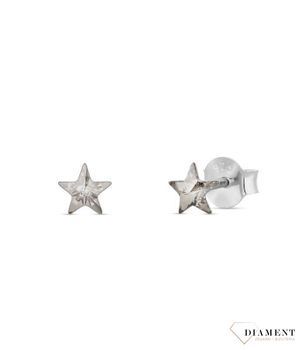 Kolczyki Small Star Studs K47455SS.jpg