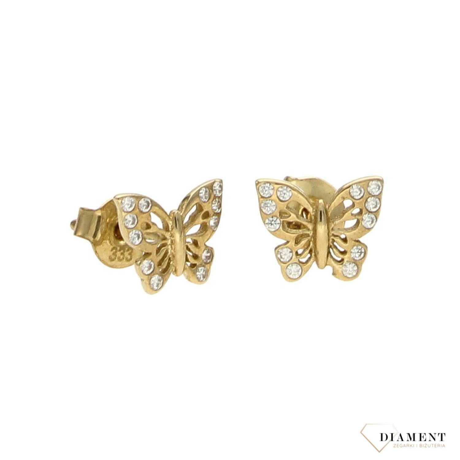 Złote kolczyki dla dzieci 333 motylki.jpg