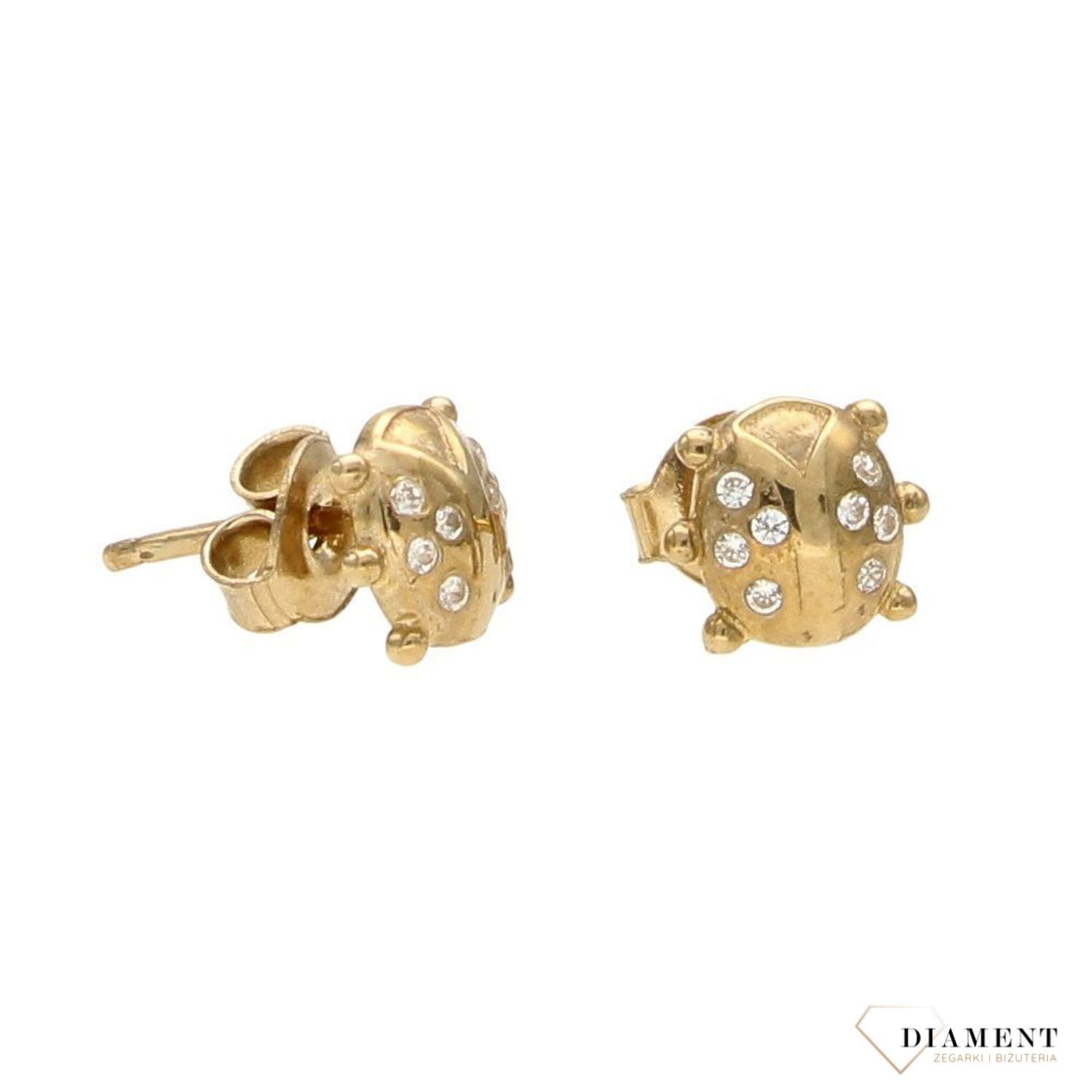 Złote kolczyki 333 biedronki z cyrkonią KLC-000000-689-333.jpg