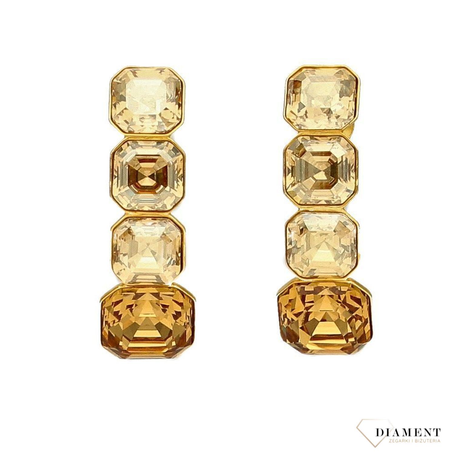 Kolczyki srebrne Swarovski Imperial Light Colorado Topaz Gold KTG44804GSLCTv.jpg