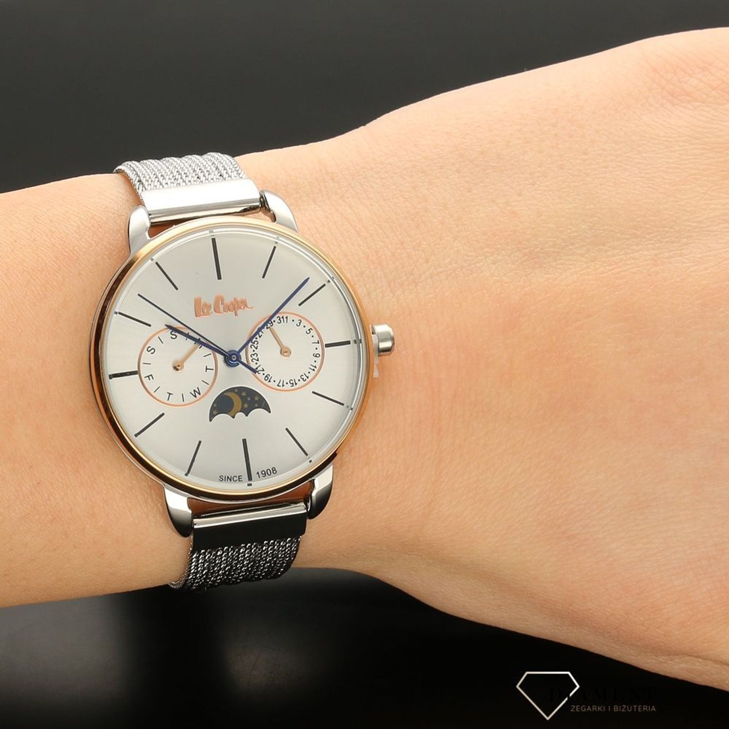 Męski zegarek Lee Cooper FW18 LC06482.530.jpg