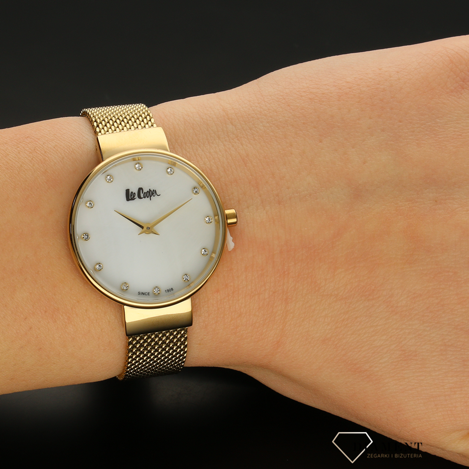 Damski zegarek Lee Cooper 18 SUMMER LC06625.120.jpg