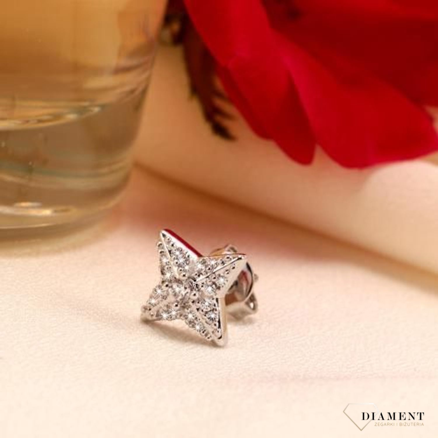 Kolczyk LA PETITE STORY LPS02ARQ12 (1).jpg