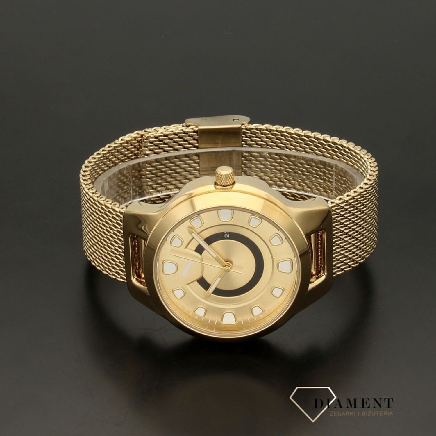 Zegarek męski Puma P1008.jpg