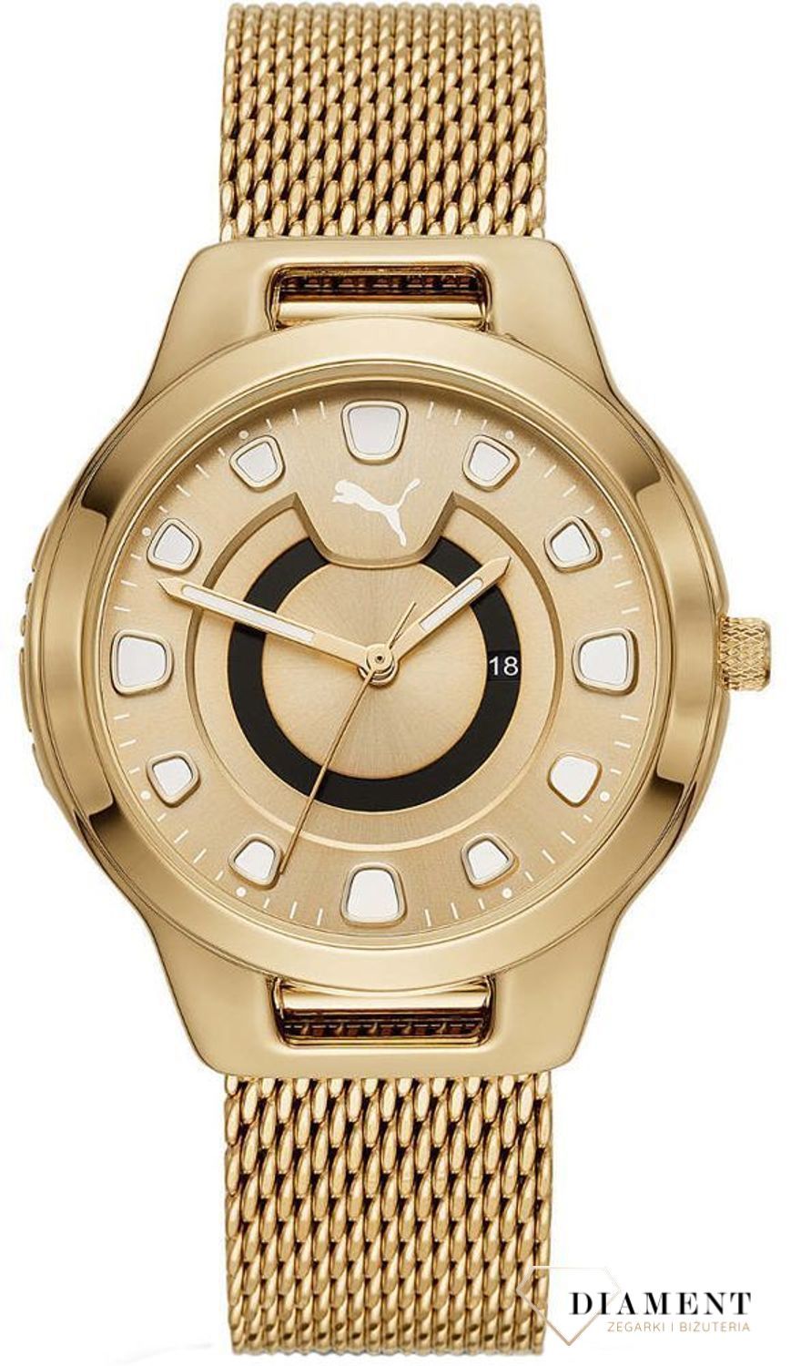 Zegarek męski Puma P1008.jpg