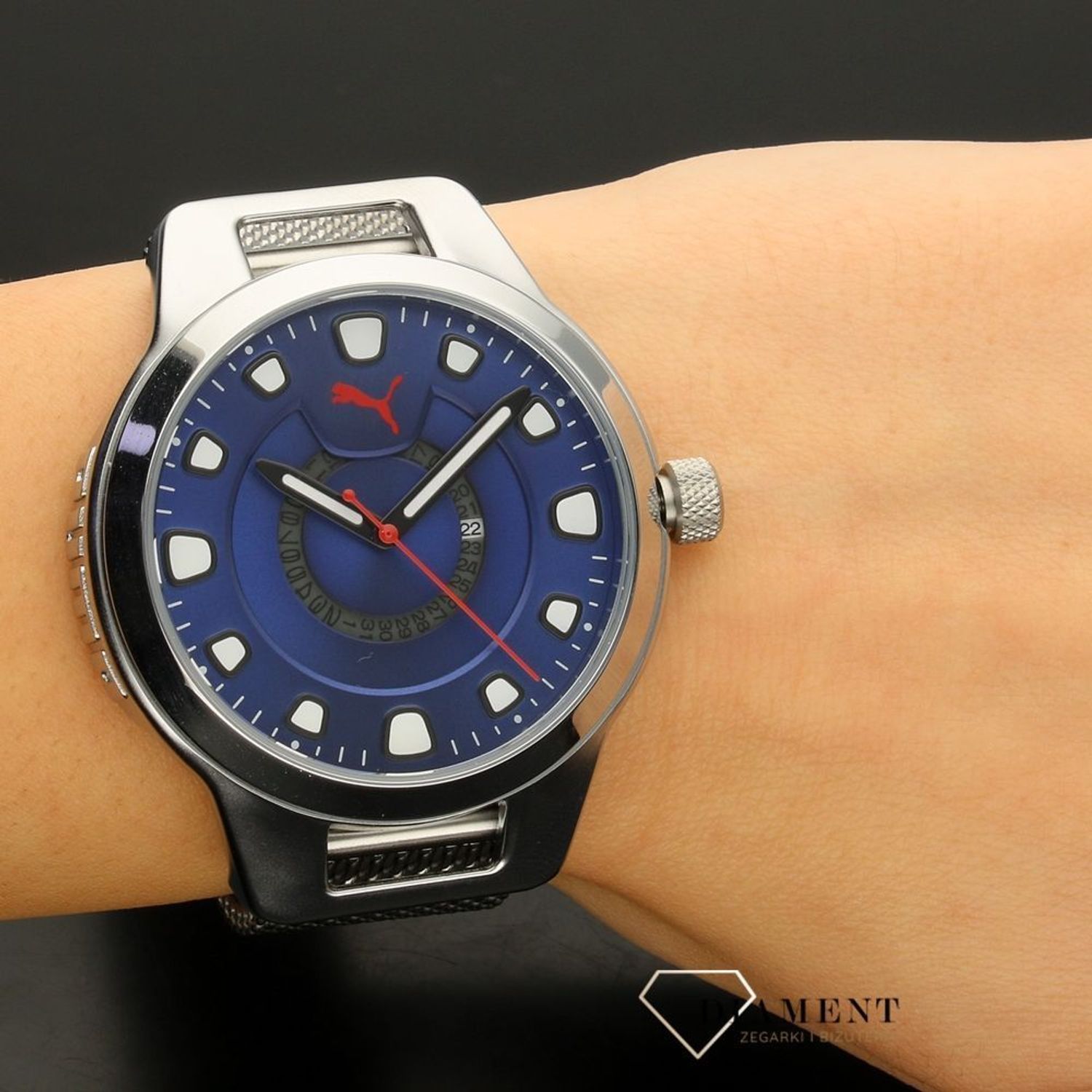 Zegarek męski Puma P5005.jpg