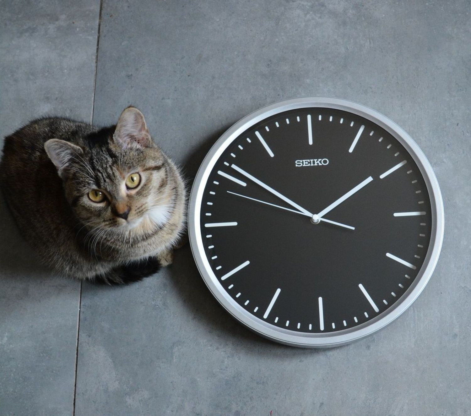 Zegar ścienny srebrny Seiko cichy mechanizm QHA009S.jpg