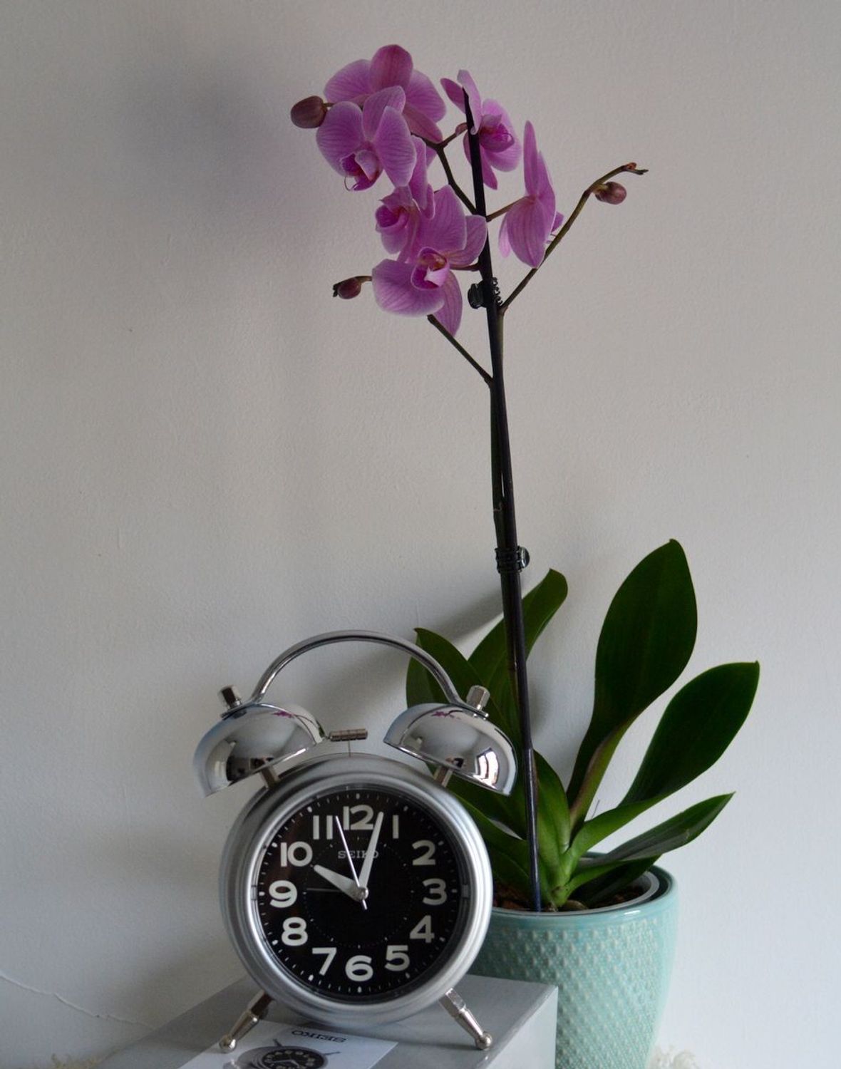 Budzik retro marki SEIKO QHK051A cichy mechanizm, głośny alarm.jpg