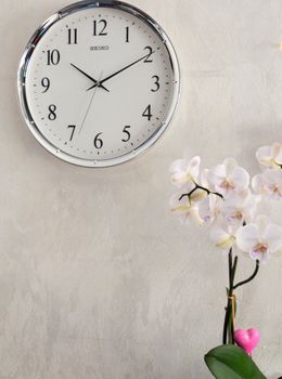 Zegar ścienny Seiko QXA417S – 31 cm, srebrny, z płynną wskazówką (2).JPG