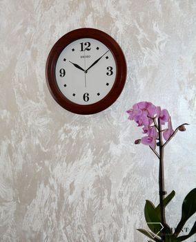 Zegar ścienny SEIKO QXA772B 30 cm Imitacja drewna Brązowy. Zegary ścienne ⌚ zegary Seiko (8).JPG