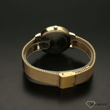 Zegarek damski LORUS 'Złota klasyka' RG278UX9. Japońskie zegarki znane są z wysokiej jakości wykonania i zastosowania w nich wielu nowoczesnych technologii (5).jpg