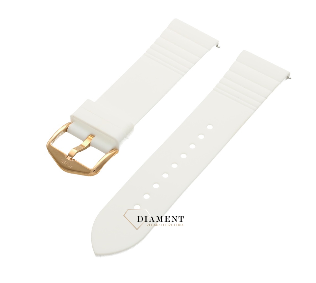 Oryginalny Pasek FOSSIL S221349.jpg