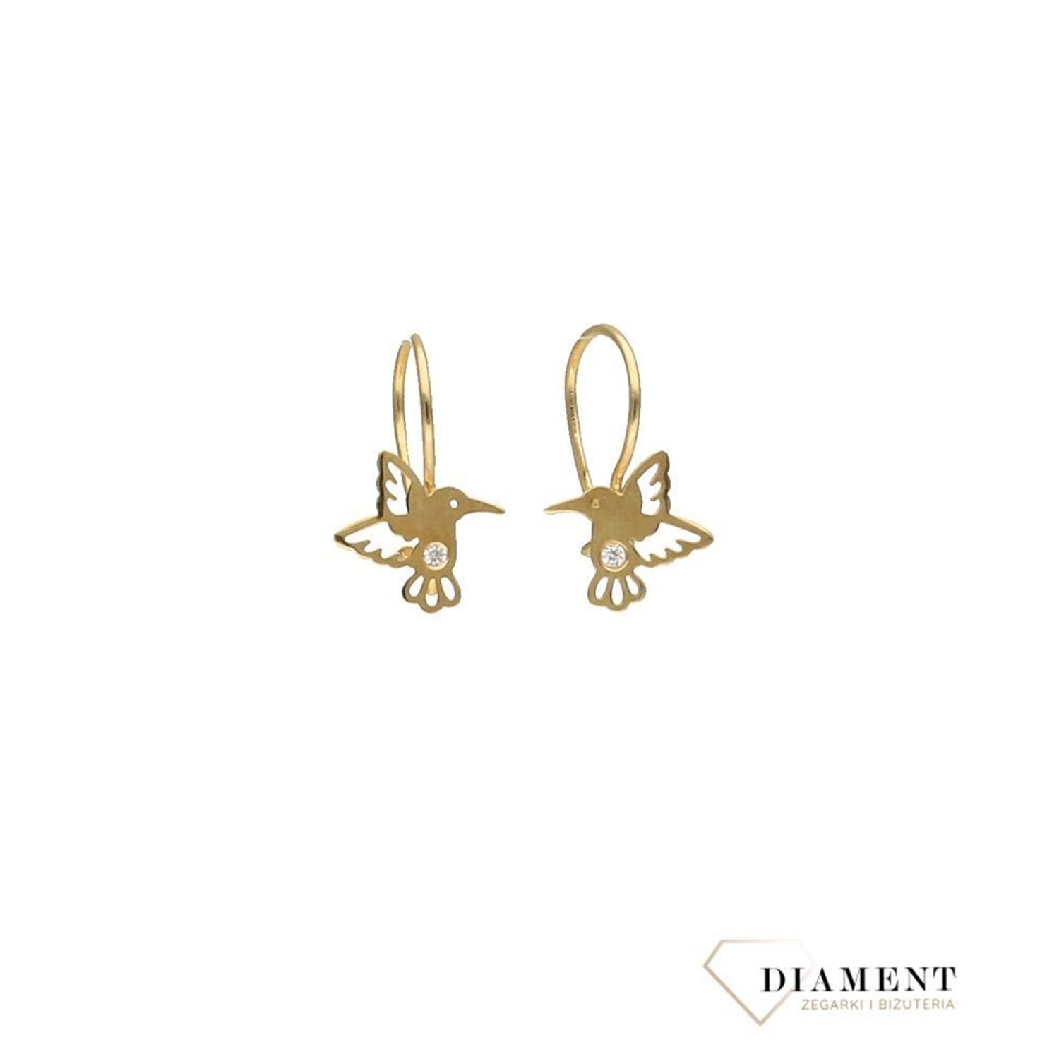 Złote kolczyki koliberek na angielskie zapięcie.jpg