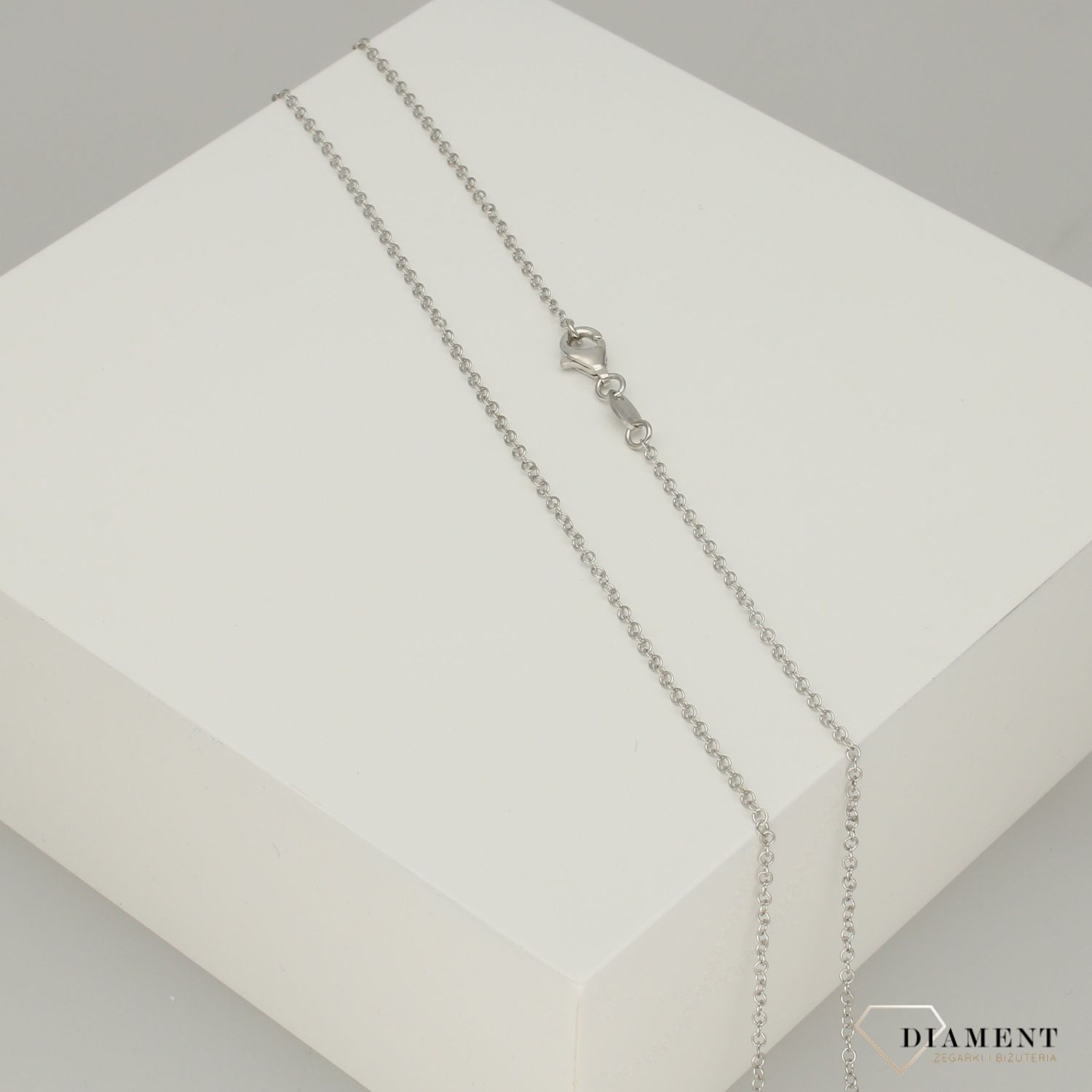Naszyjnik srebrny z zawieszką srebrną blaszka S2N000000-065  ✓ Długi naszyjnik ✓ Biżuteria srebrna ✓ Biżuteria dla kobiet ✓ Biżuteria na prezent ✓ Kurier 24h ✓ Gwarancja najniższej ceny 1Zapras.jpg