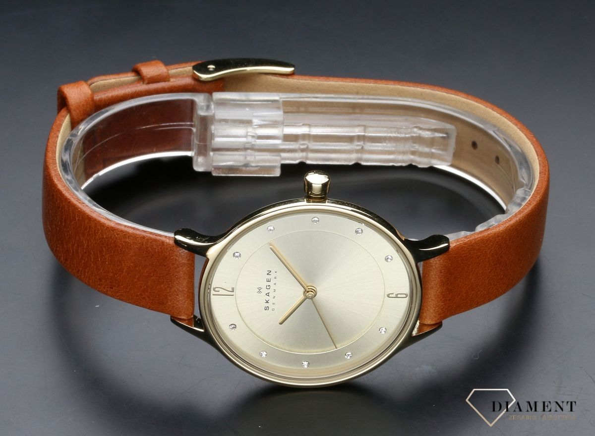 Skagen skw2147 online