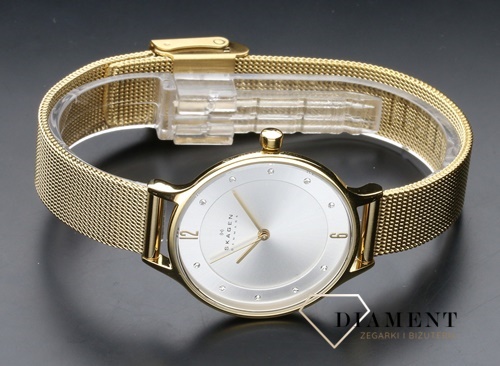 zegarek-damski-skagen-skagen-steel-skw2150-SKW2150--1.jpg
