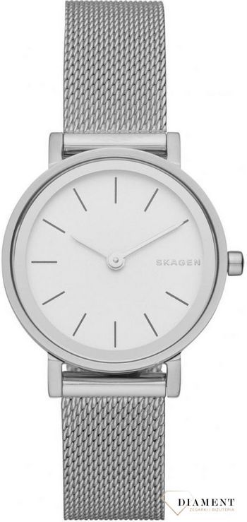 zegarek-damski-skagen-skagen-steel-skw2441-SKW2441--1.jpg