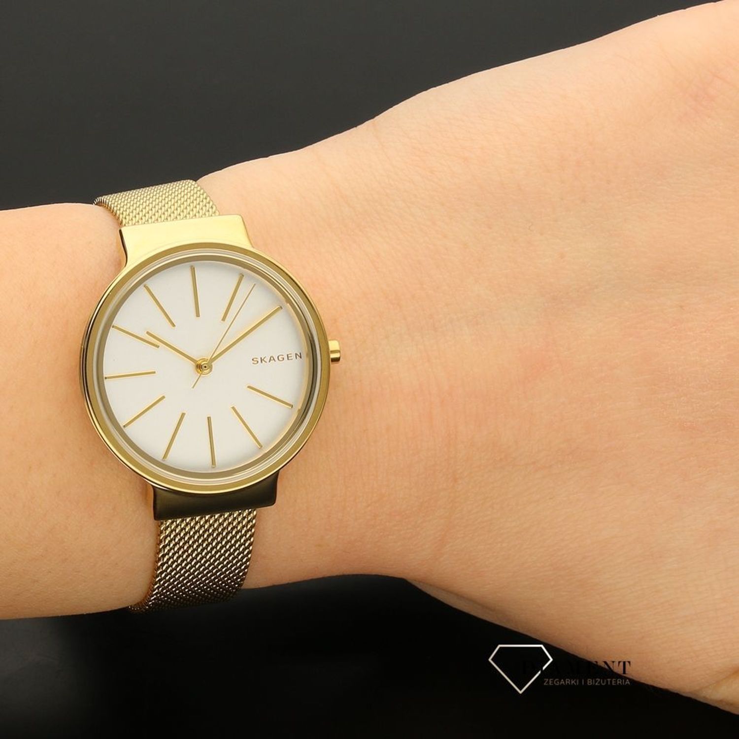 zegarek-damski-skagen-skagen-ancher-skw2477-SKW2477--1.jpg