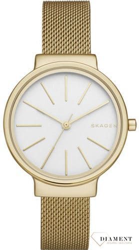 zegarek-damski-skagen-skagen-ancher-skw2477-SKW2477--1.jpg
