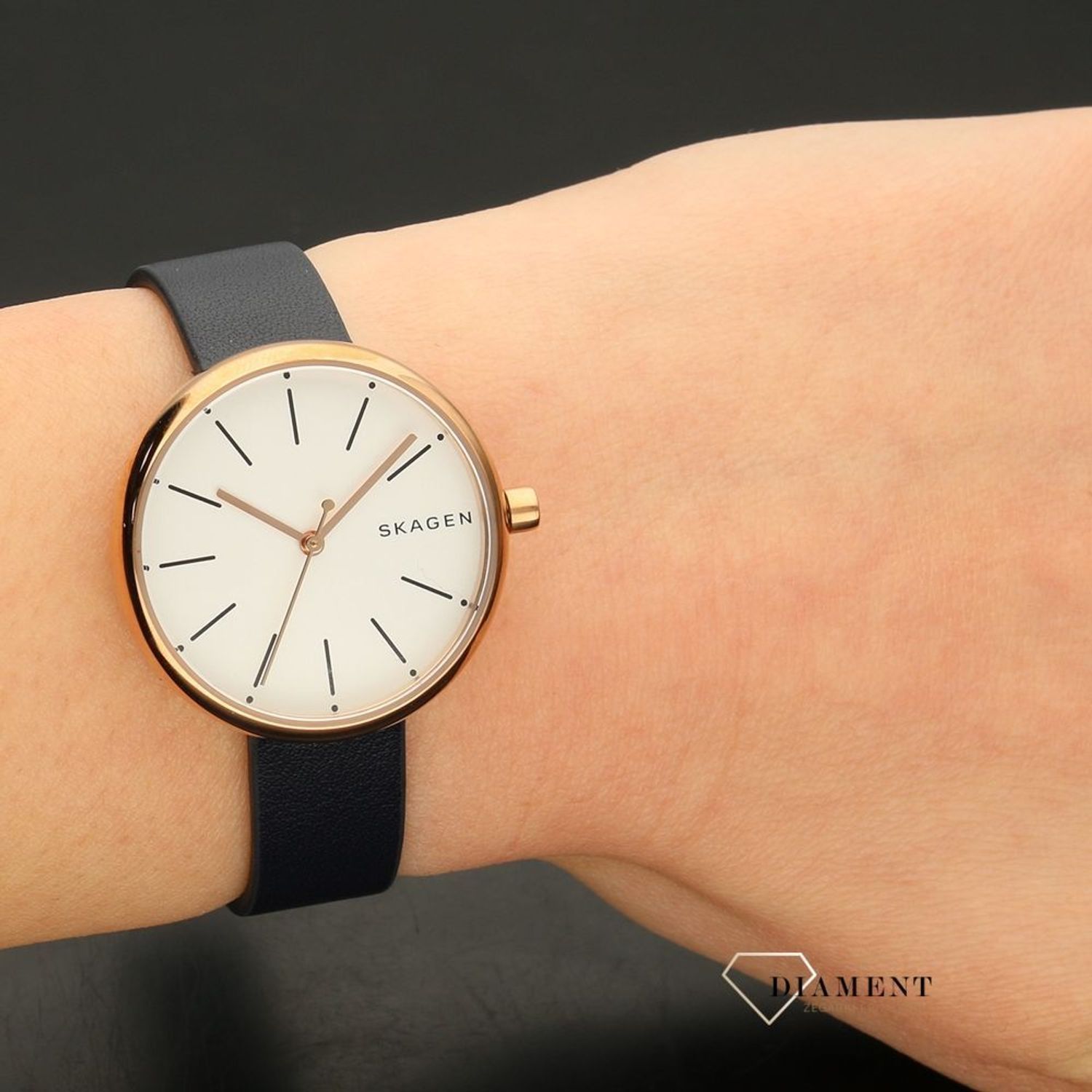 Damski zegarek Skagen SIGNATUR SKW2592.jpg