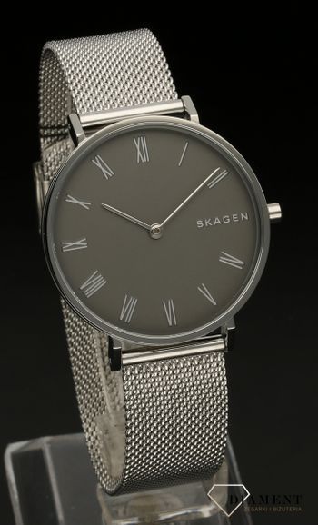 Damski zegarek Skagen SIGNATUR SKW2677 (1).jpg