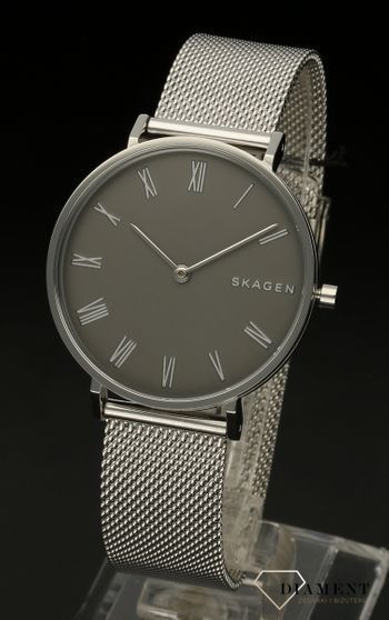 Damski zegarek Skagen SIGNATUR SKW2677 (2).jpg