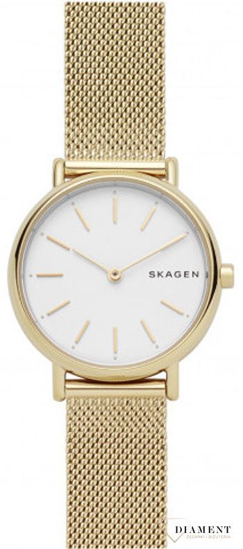 zegarek-damski-skagen-skagen-classic-skw2693-SKW2693--1.jpg