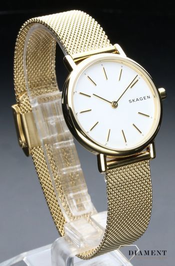 zegarek-damski-skagen-skagen-classic-skw2693-SKW2693--2.jpg