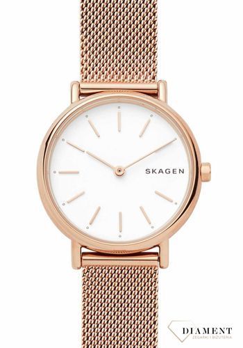 skagen-SKW2694.jpg