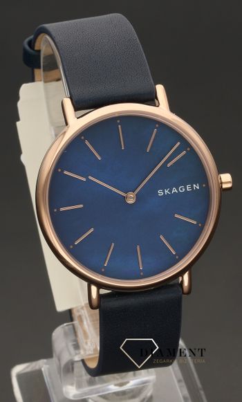 Damski zegarek Skagen Steel SIGNATUR SKW2731 (1).jpg