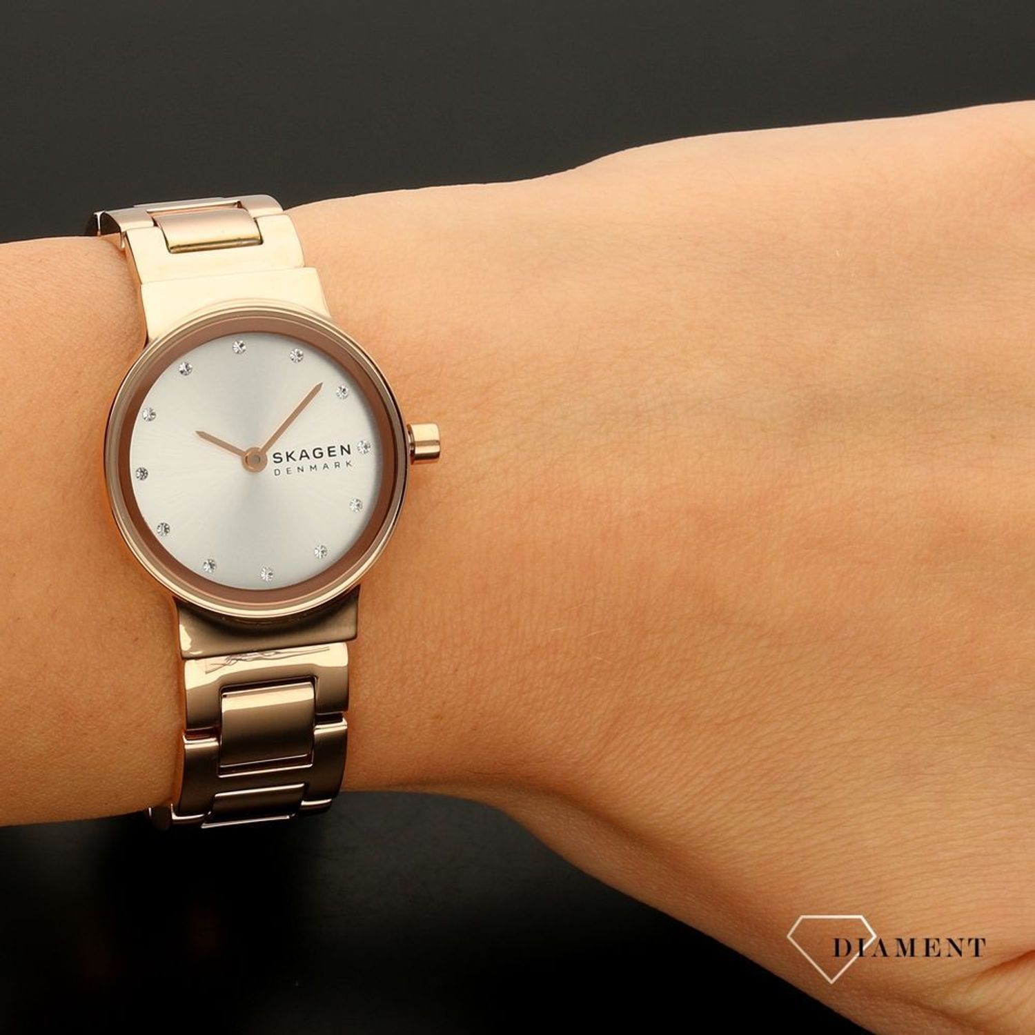 skagen skw2791