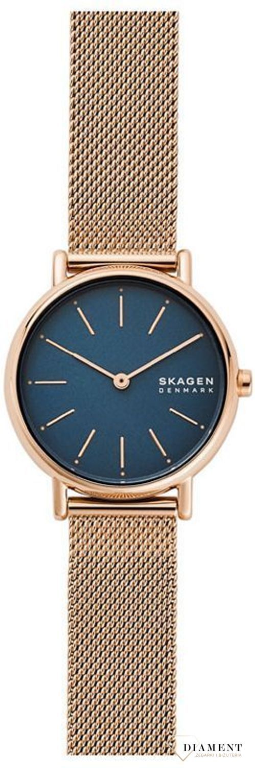 Zegarek damski Skagen Signatur SKW2837  (1).jpg