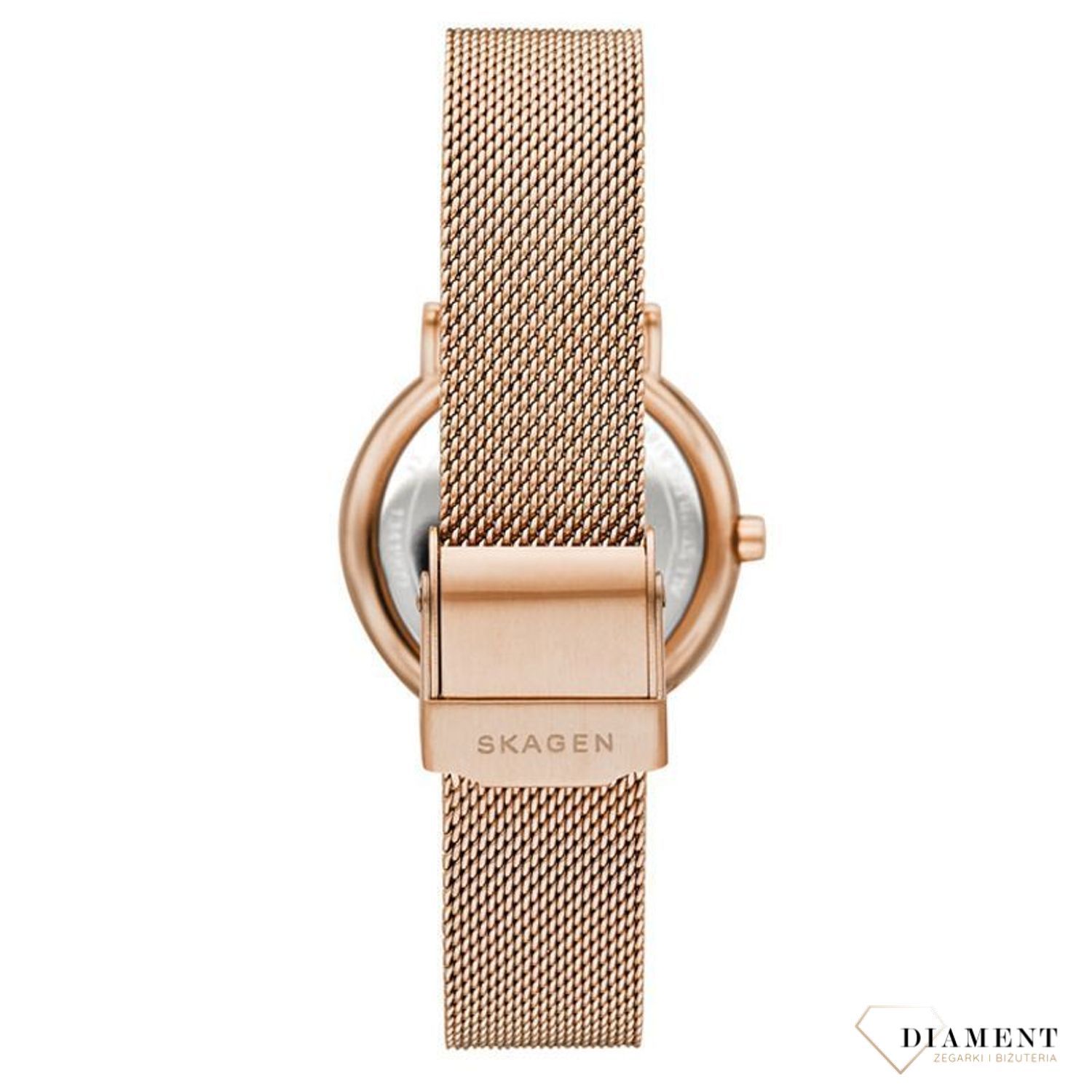 Zegarek damski Skagen Signatur SKW2837  (1).jpg