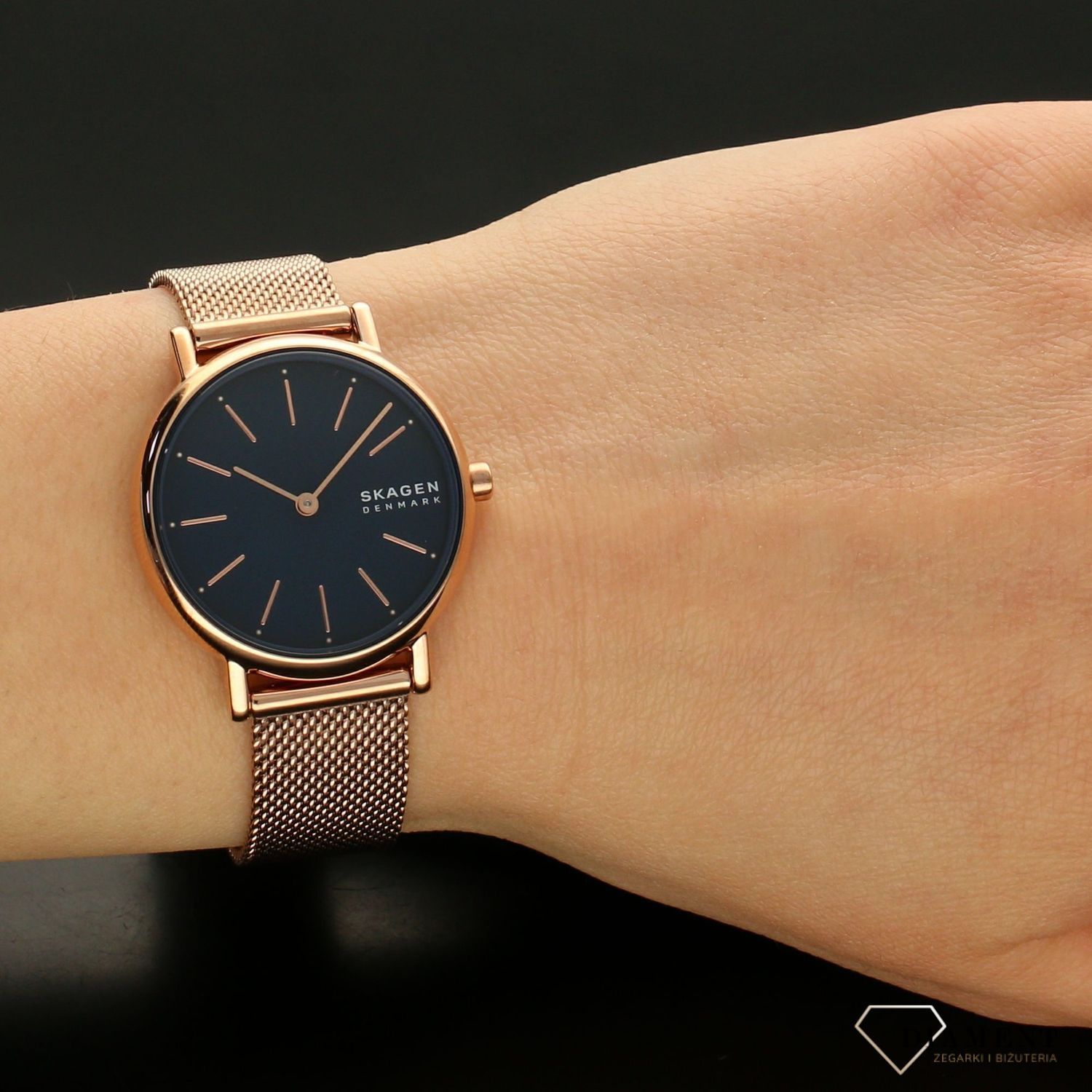 Zegarek damski Skagen Signatur SKW2837  (1).jpg