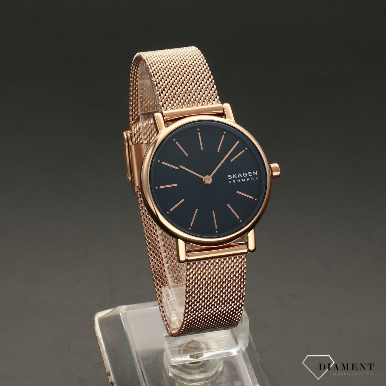 Zegarek damski Skagen Signatur SKW2837  (1).jpg