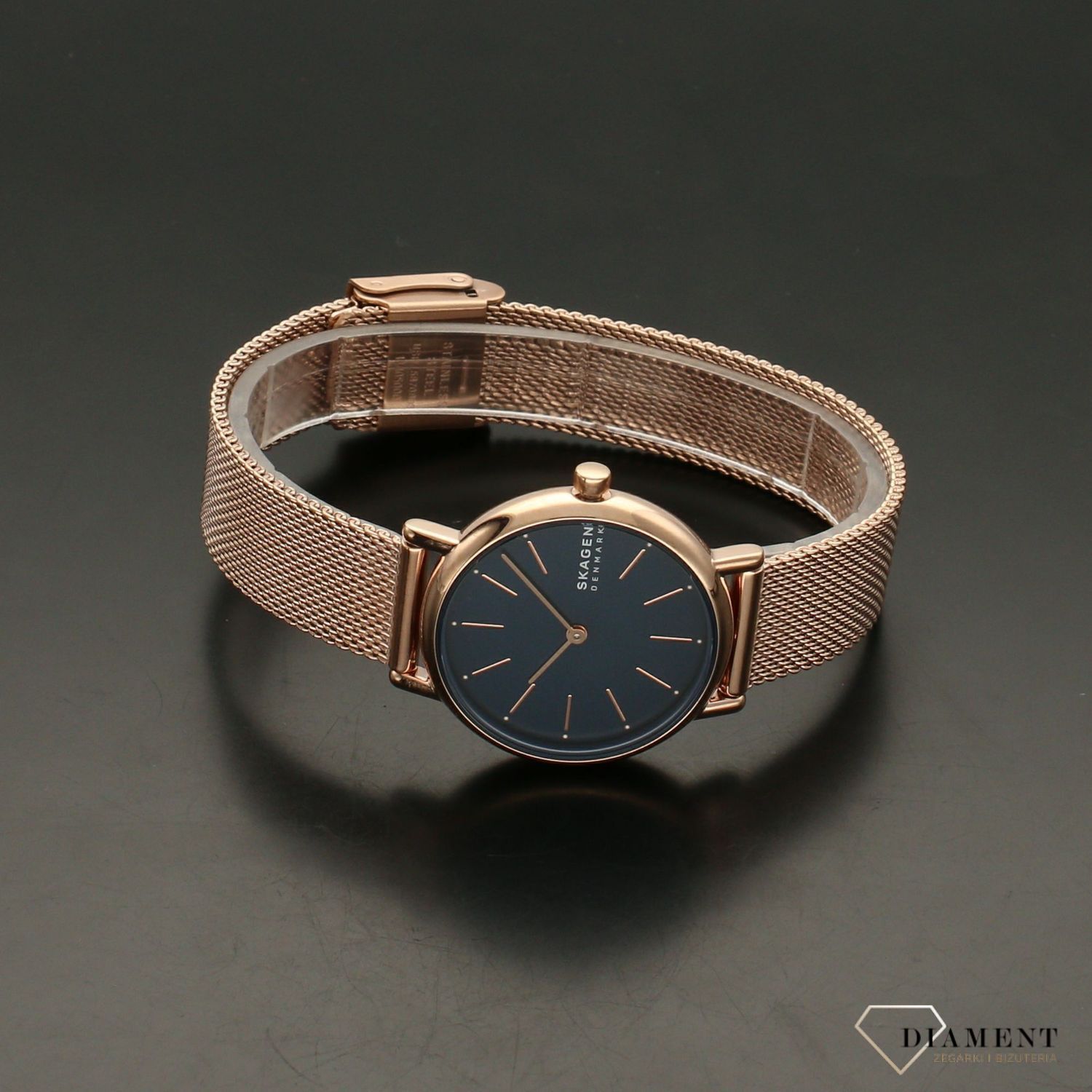 Zegarek damski Skagen Signatur SKW2837  (1).jpg