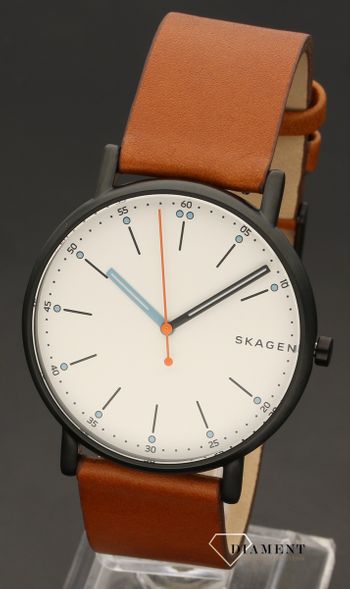 Męski zegarek Skagen Signatur SKW6374 (2).jpg