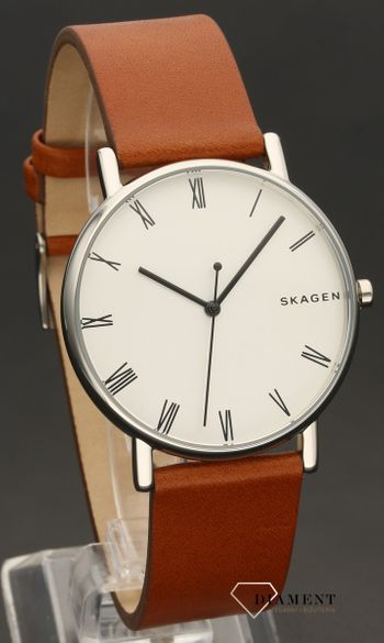 Męski zegarek Skagen Signatur SKW6427 (1).jpg