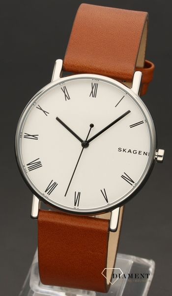 Męski zegarek Skagen Signatur SKW6427 (2).jpg