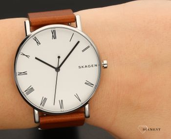 Męski zegarek Skagen Signatur SKW6427 (5).jpg