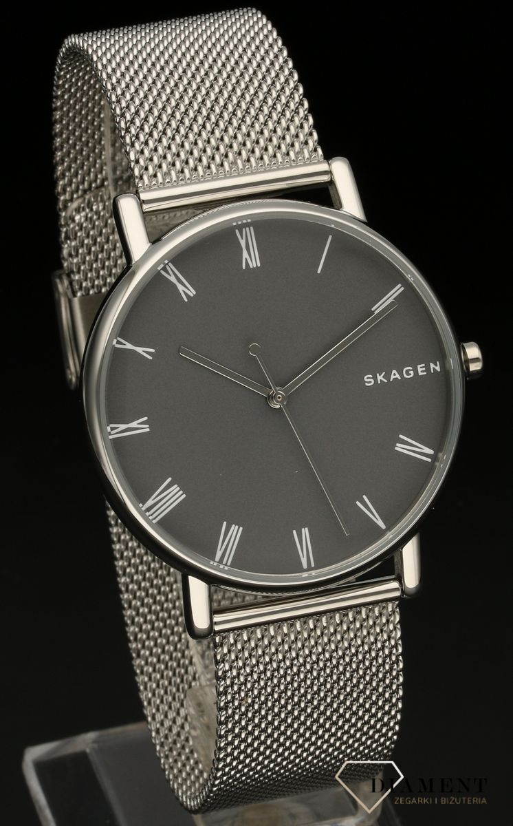zegarek-meski-skagen-skagen-signatur-skw6428-SKW6428--1.jpg
