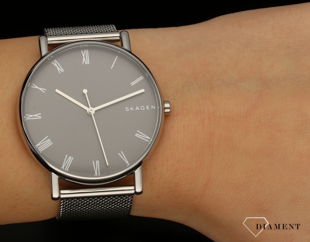 zegarek-meski-skagen-skagen-signatur-skw6428-SKW6428--1.jpg