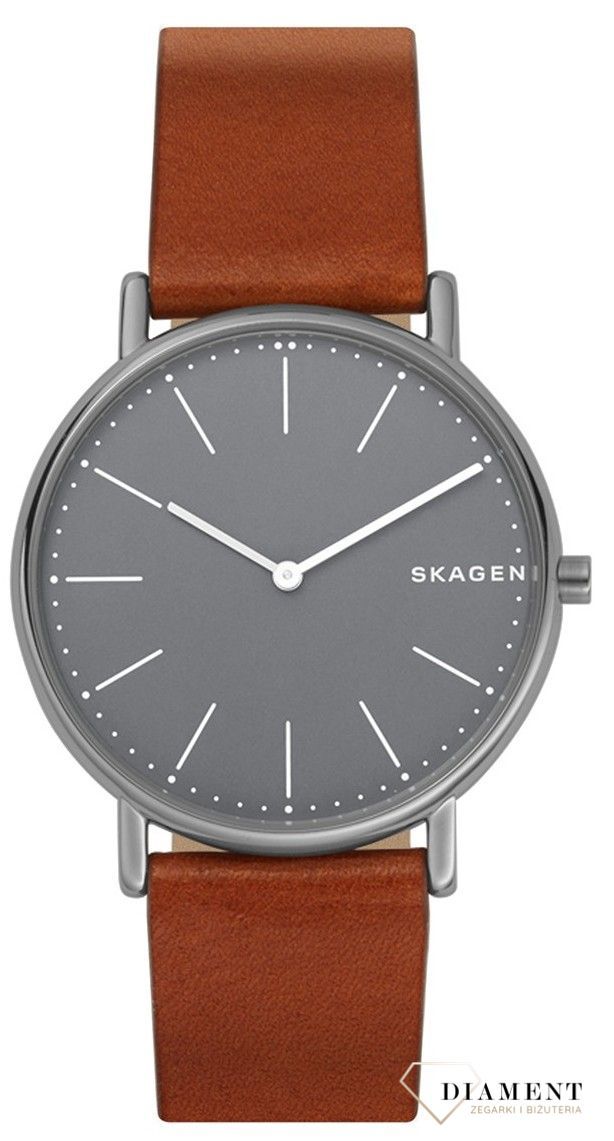 zegarek-meski-skagen-skagen-signatur-skw6429-SKW6429--1.jpg