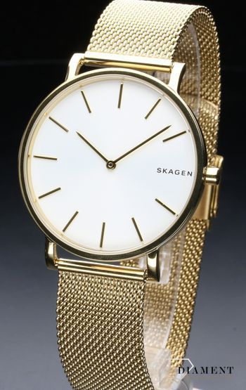 zegarek-meski-skagen-skagen-hagen-skw6443-SKW6443--3.jpg