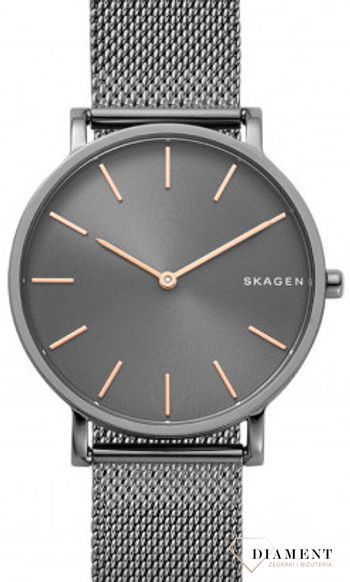 zegarek-meski-skagen-skagen-classic-skw6445-SKW6445--2.jpg