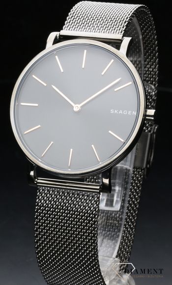 zegarek-meski-skagen-skagen-classic-skw6445-SKW6445--4.jpg