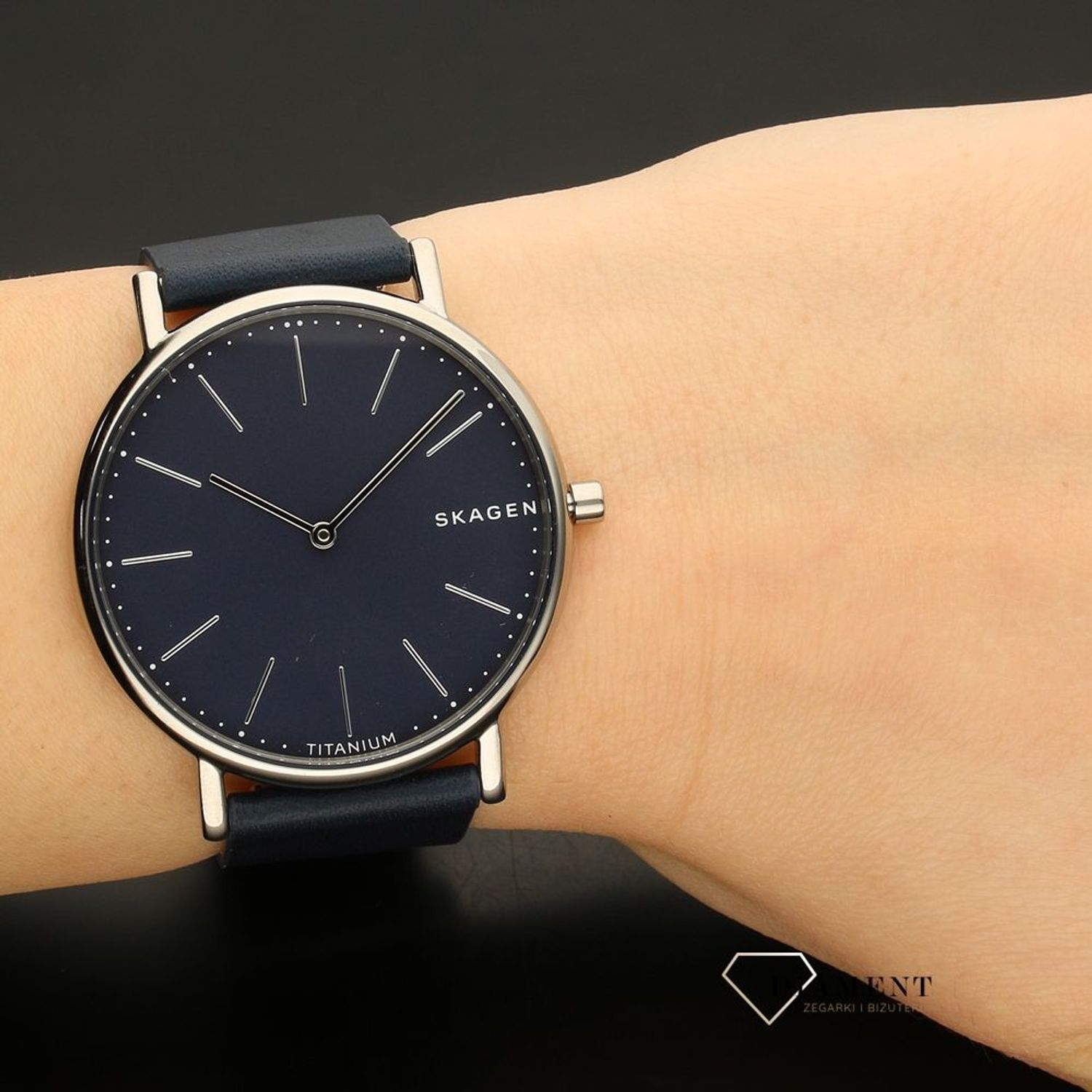 Męski zegarek Skagen Titanum Signatur SKW6481.jpg