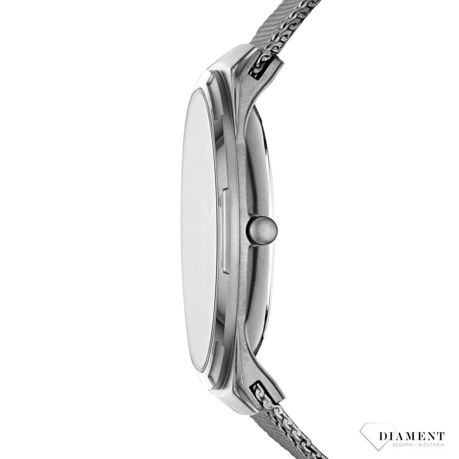 Męski zegarek Skagen SKW6503.jpg