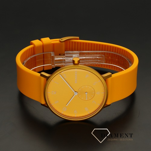 Zegarek Skagen Aaren Kulor SKW6510.jpg